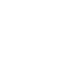 选项